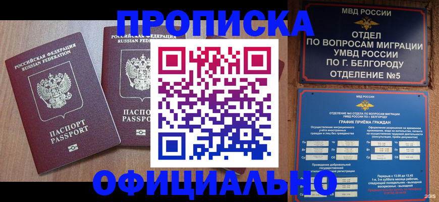 найти адрес прописки в Шуе